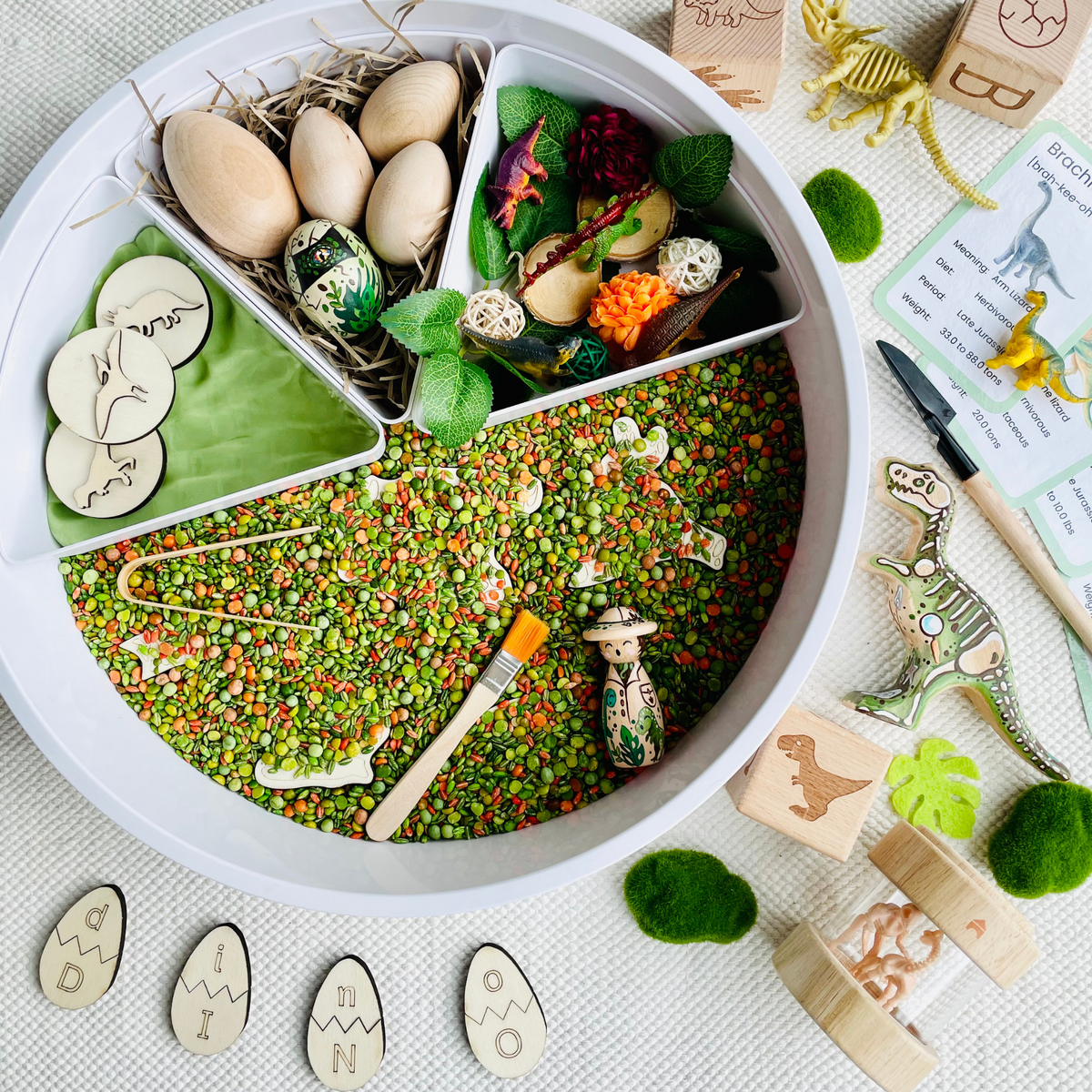 The Dinosaur Collection – Play Craft Grow