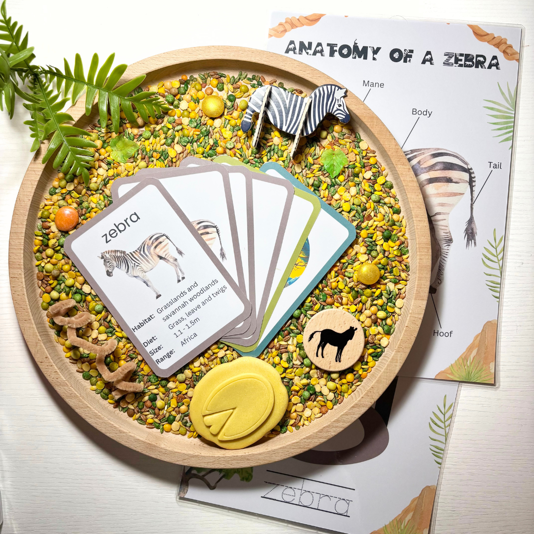 Zebra Activity Pack – Play Craft Grow