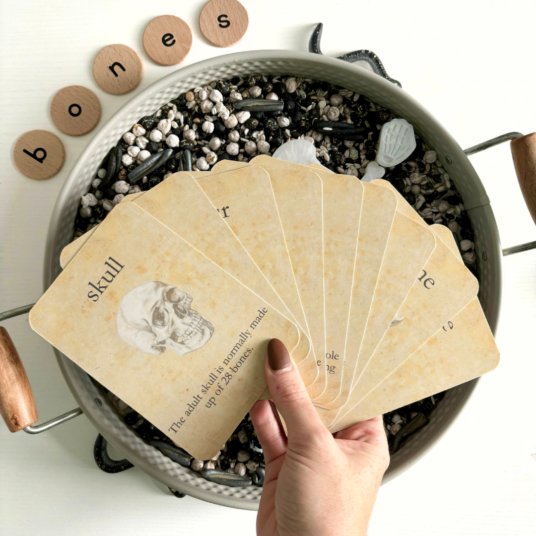 Skeleton & Bones Flashcards – Play Craft Grow
