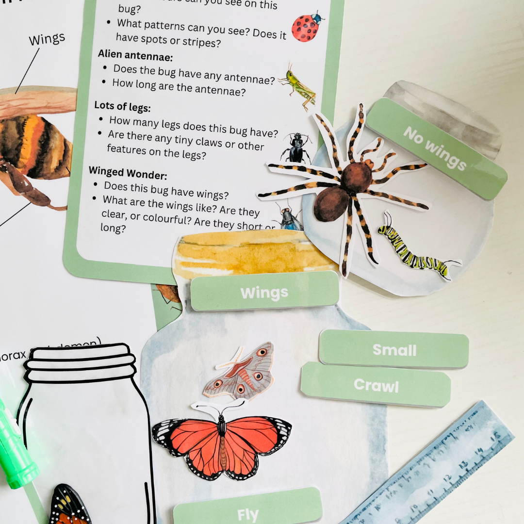 Exploring Insects Activity – Play Craft Grow